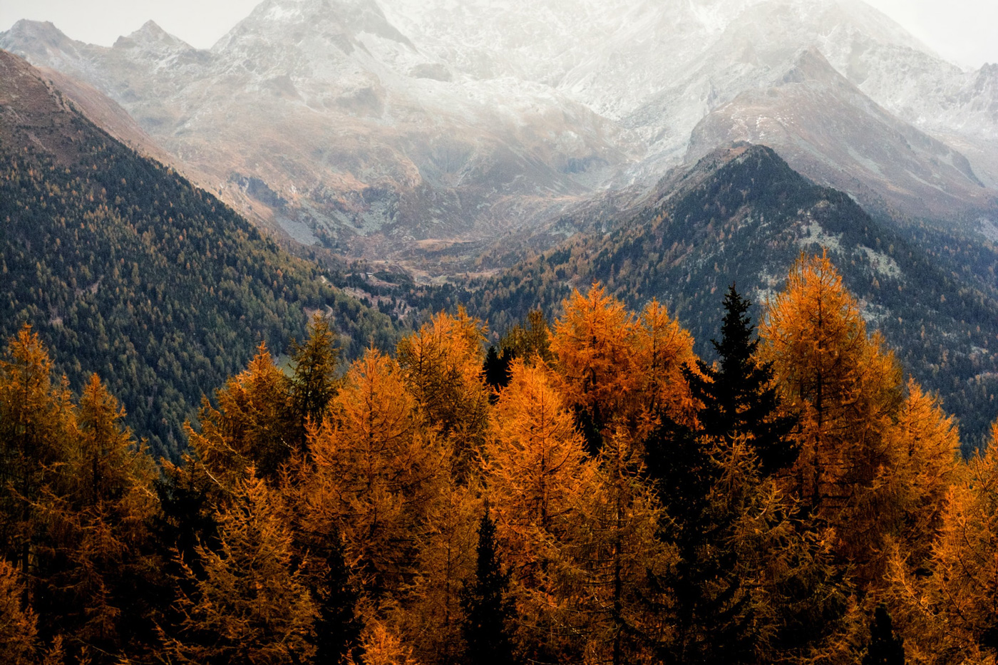 Autumn